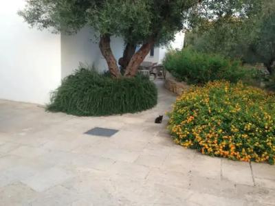 Tenuta de Marco - 16