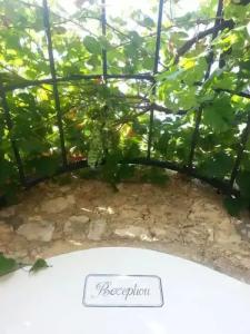 Tenuta de Marco - 24