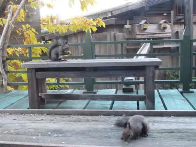 Auberge Kitano Dandan - 10