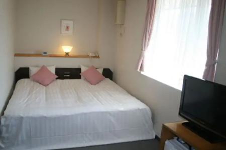 Resort Inn North Country - 3