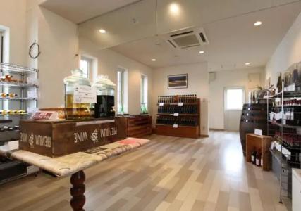 Resort Inn North Country - 8