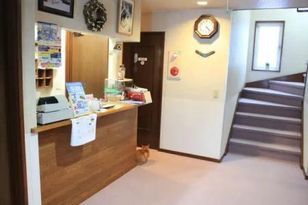 Pension Lavender - 8