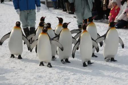 Pension Hoshi Ni Negaiwo - 17