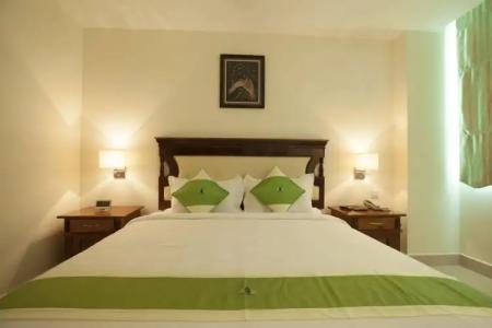 Green Palace - 6