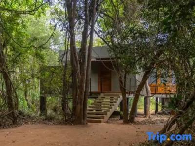 Wild Grass Nature Resort - 40