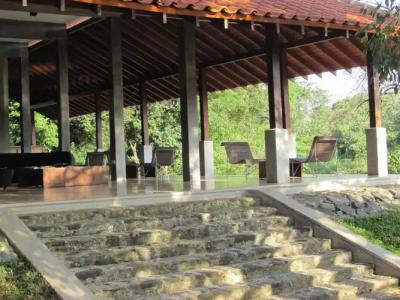 Wild Grass Nature Resort - 7