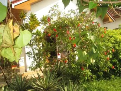 Tandem Guesthouse - 31