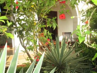 Tandem Guesthouse - 30