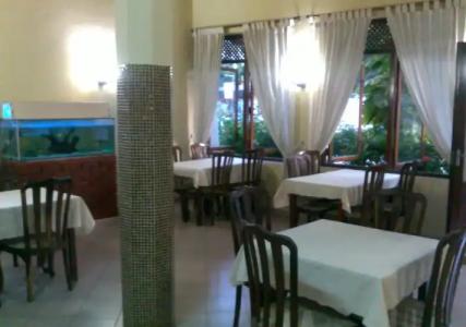 Tandem Guesthouse - 11