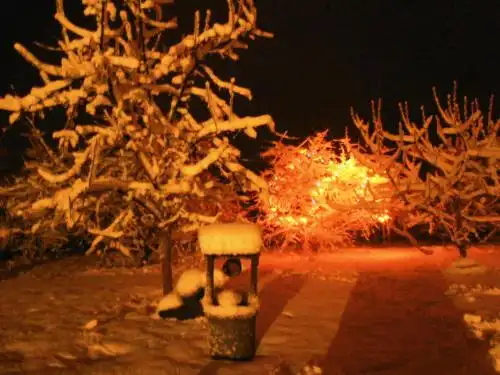 Holiday House Niedras Jurmala - 45