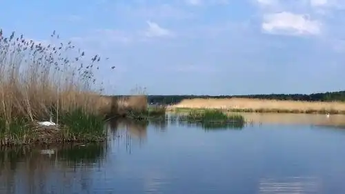 Holiday House Niedras Jurmala - 53