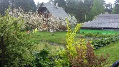 Holiday House Niedras Jurmala - 55