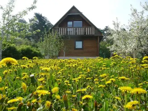 Holiday House Niedras Jurmala - 18