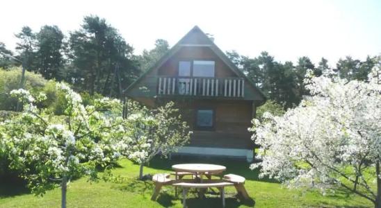 Holiday House Niedras Jurmala - 5