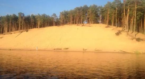 Holiday House Niedras Jurmala - 4