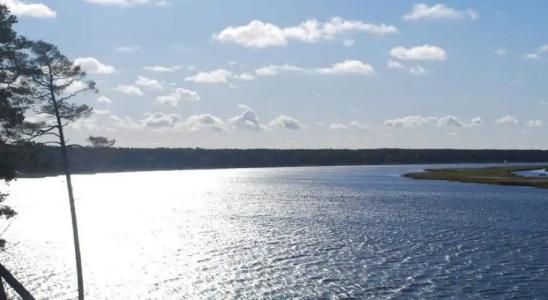Holiday House Niedras Jurmala - 2