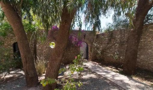 Villa Amaryllis - 63