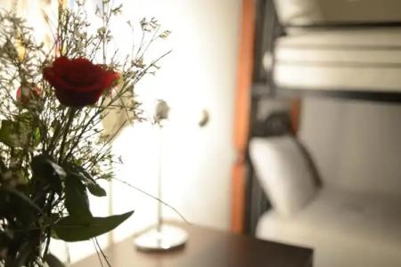 Villa Amaryllis - 43