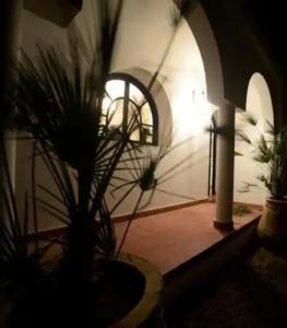 Villa Amaryllis - 81