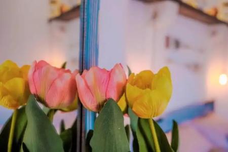 Apartments Bazar - 65