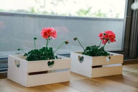 Apartments Bazar - 166