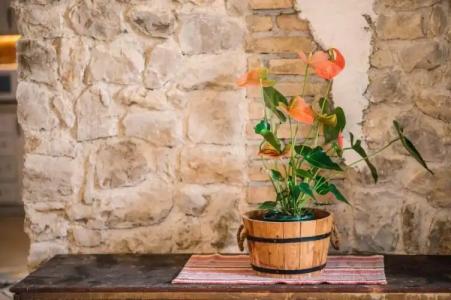 Apartments Bazar - 93