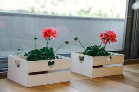 Apartments Bazar - 128