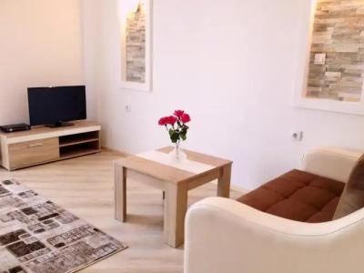 Blue Star Apartments - 57