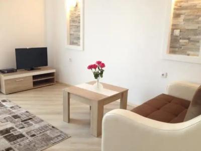 Blue Star Apartments - 2