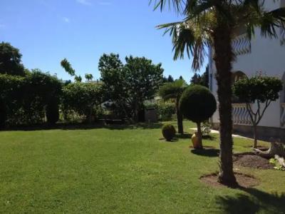 Blue Star Apartments - 15