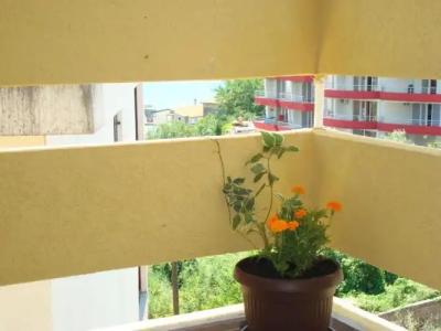 Apartments Cejovic - 14