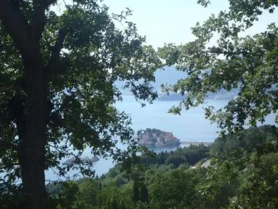 Apartments Djurasevic - 15