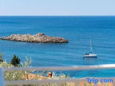 Sun Rose apartments Sveti Stefan - 92