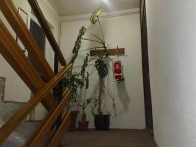 Private accommodation Lidija Rakočević - 4