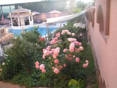 Accommodation Royal Azur - 2