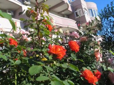 Accommodation Royal Azur - 24