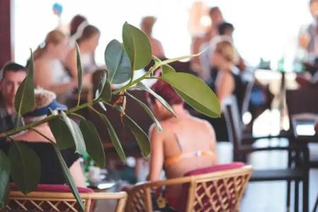 Apartments Deus - 15