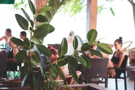 Apartments Deus - 17