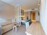 Superior Double room with balcony and with sea view