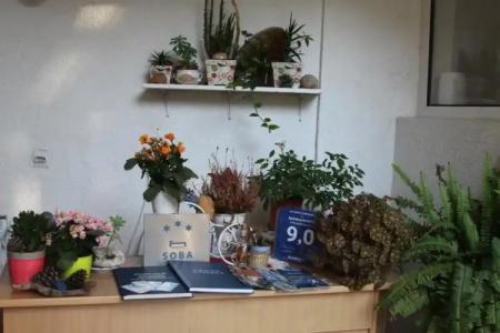 Apartments Becic - 1