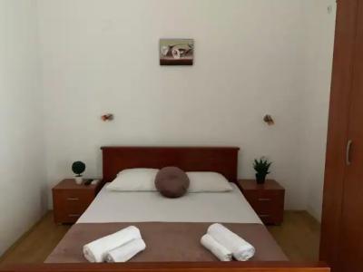 Guesthouse Orlovic - 19