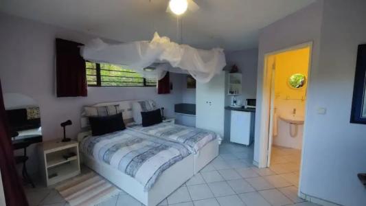 Maison Ambre Guesthouse - 35