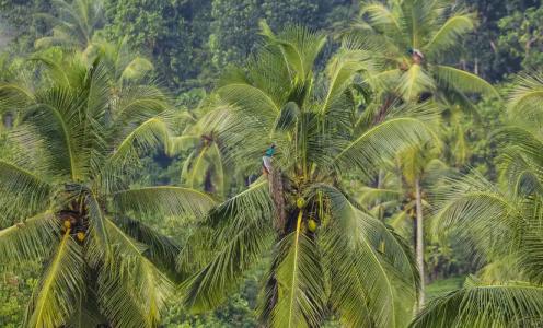 Elevated Villa Overlooking Tranquil Koggala Lake - 13