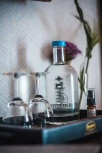 Witte Berken Natuurhotel - 40