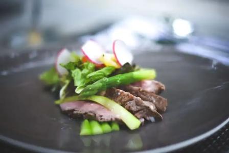 Witte Berken Natuurhotel - 11