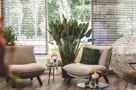 Witte Berken Natuurhotel - 15