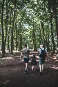 Witte Berken Natuurhotel - 32