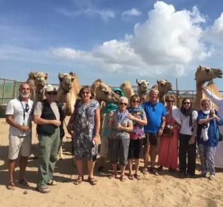 Danat Al Khaleej - 13