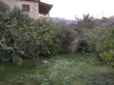 Maniatiko Village - 38