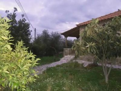 Maniatiko Village - 35